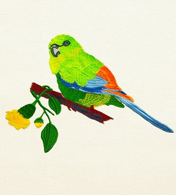 崔西布尔鹦鹉绣花t恤卫衣包包抱枕沙发靠垫坐垫个性化配色diy定制