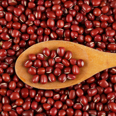 农家自产红小豆454g新货五谷杂粮小红豆散装