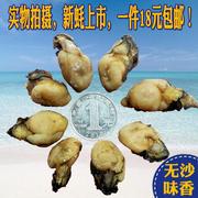 福建特产自晒补锌牡蛎干250g