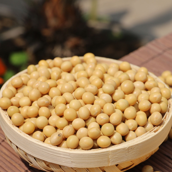 农家自种土黄豆 大黄豆 打豆浆浓郁 500g