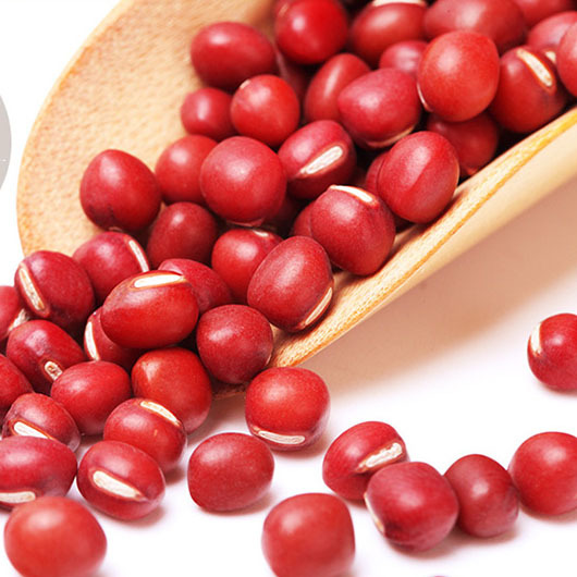 新货 东北赤豆 小红豆 生红豆 圆粒红小豆 500g 煮粥煲汤做甜品