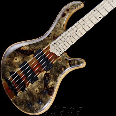 波兰mayones patriot custom 5st 雀眼枫 5弦 电贝司