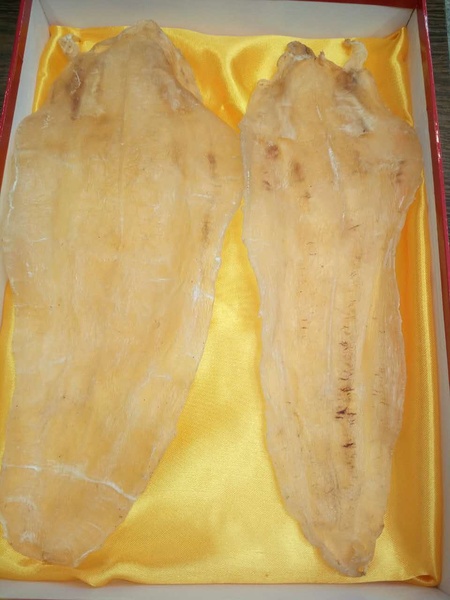 苏里南北海敏鱼肚花胶6头批发250克