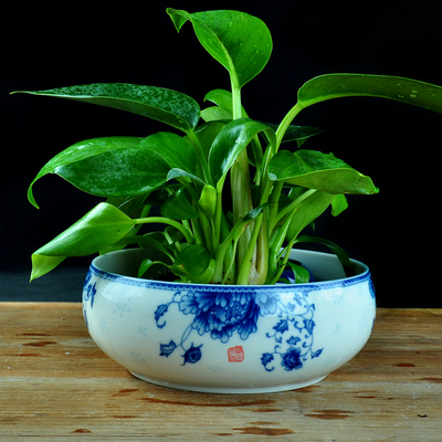 水仙花盆无孔铜钱草 碗莲大盆睡莲水培植物花盆陶瓷简约青花瓷盆