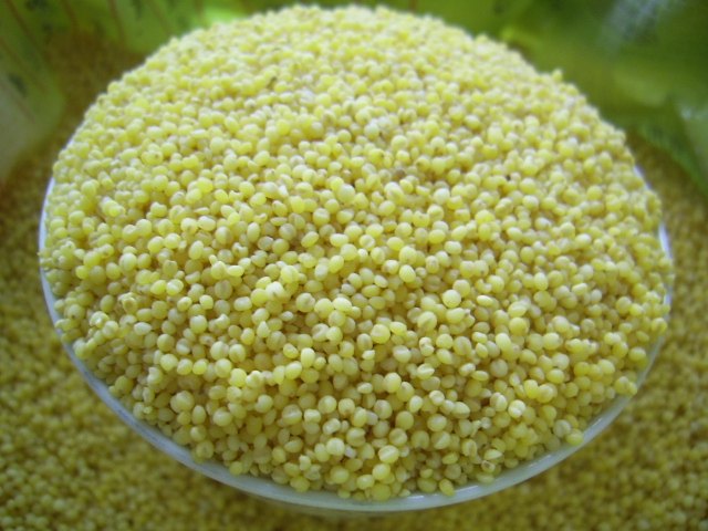 黄金苗小米小黄米威粘香月子米宝宝米养生特产威粘香小米