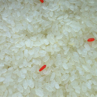 5份包邮 重庆土特产农村自制阴米 糯米 冻米 蒸米 滋补清暑