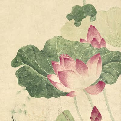 荷花图-吴应贞 清代中式装饰画卧室书房走廊壁挂画 画芯z