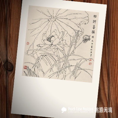 《白描荷花》黄永玉 水墨中国画 中式典雅风格装饰画芯pc明信片