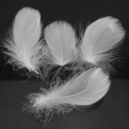 鹅毛中飘大飘小飘各种羽毛 diy饰品配件 手机挂件 头饰头花配件