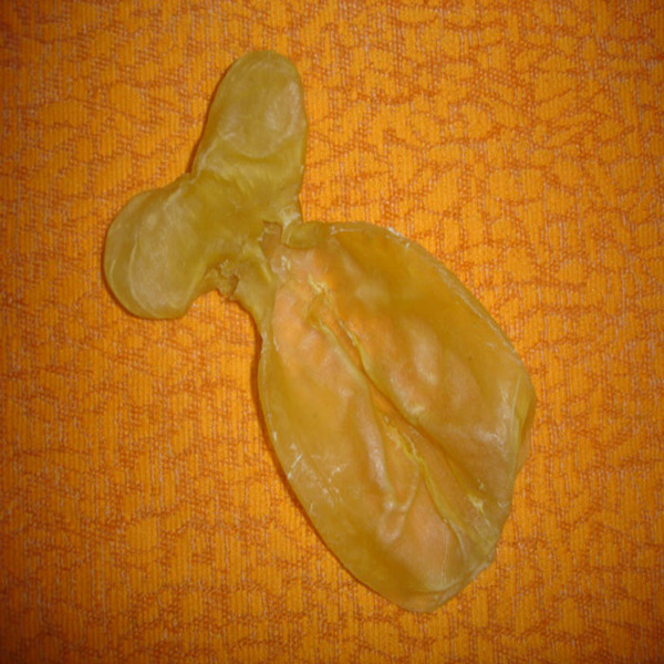 蜘蛛肚鱼胶优品礼盒 印尼蜘蛛鱼胶正品专卖 公肚 送礼领导实用