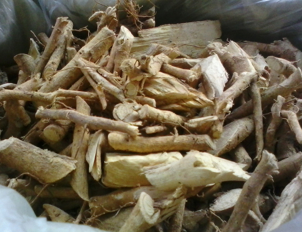 特价自家佛手根500克温胃散寒 消食 批发价出售