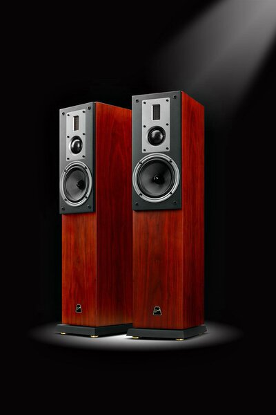 hivi/惠威 rm300f 主音箱 hifi音箱 2.0落地音箱 rm300ht前置主箱