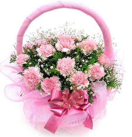 母亲节22朵康乃馨花篮 送给最亲爱的妈妈您辛苦了无锡鲜花速递