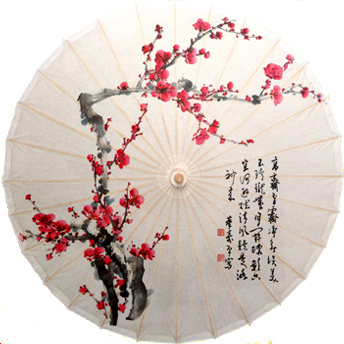 泸州油纸伞董寿平梅花5舞蹈影视装修收藏防雨防晒古典晴雨伞