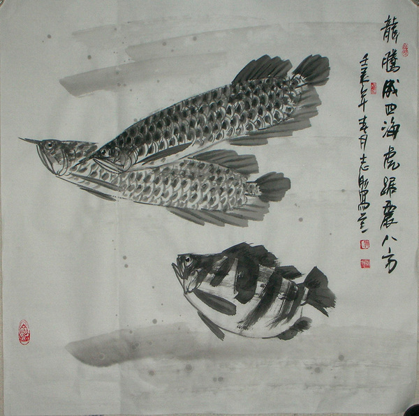 吴志刚斗方(5)水墨中国画《龙腾威四海虎踞镇八方》金龙鱼虎鱼