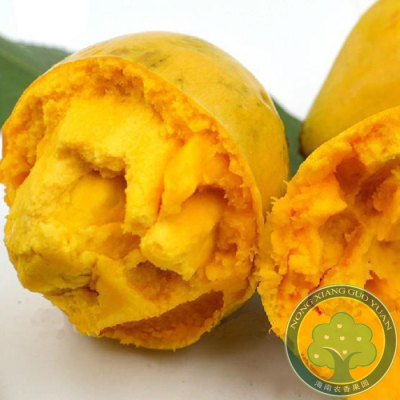 海南鸡蛋果 蛋黄果 新鲜水果 越南狮头果蛋黄果