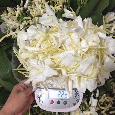 口服级鲜花蒸馏野姜花精油纯露美白淡斑补水祛湿改善痛经女性保养