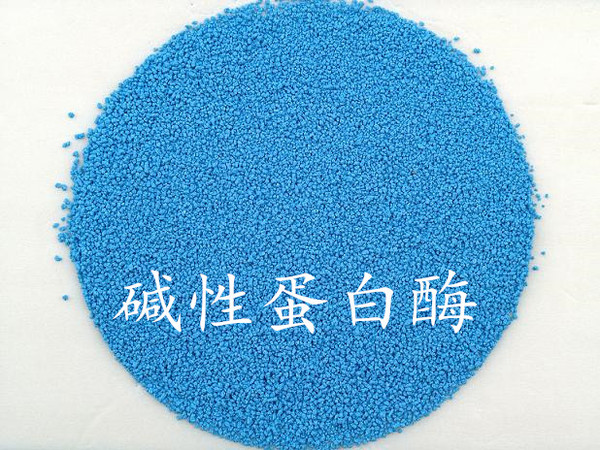 高效碱性蛋白酶/酶制剂/去污等洗涤用品1000克分装/正品特价包邮