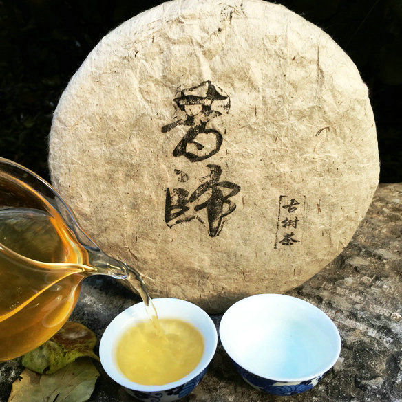 云南普洱茶叶 2010年昔归古树茶 生茶 茶饼 纯料 乔木古树 500克