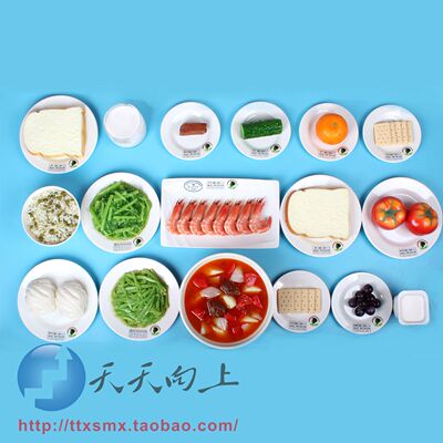 妊娠期糖尿病患者饮食模型 全天2000千卡 食物模型wd-135814