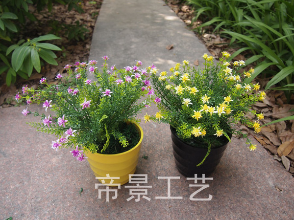 仿真花塑料假植物花卉小盆景 星星花護盆花點綴生活陽臺客廳裝飾