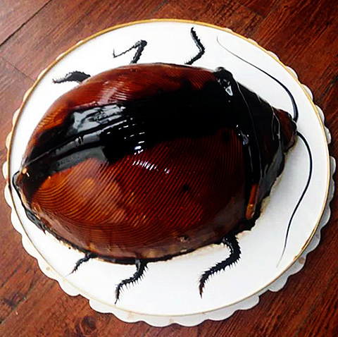 重庆深圳创意恶搞昆虫蟑螂小强重口味生日蛋糕全国配送