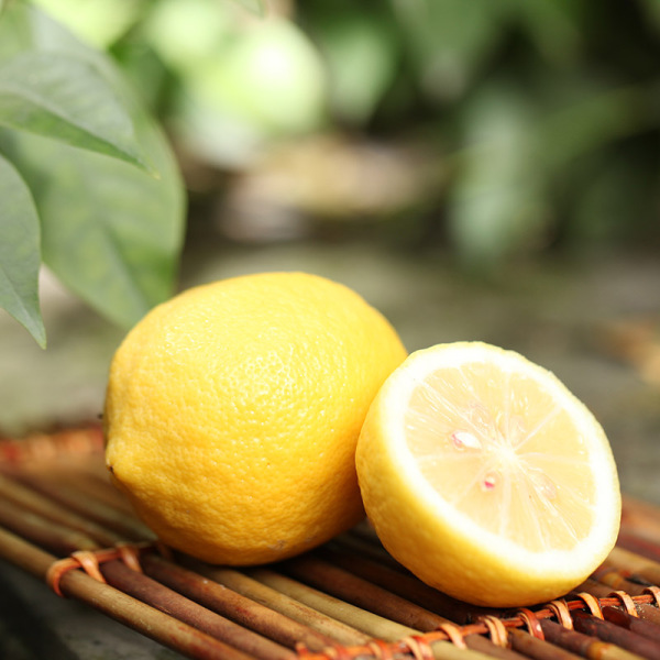 新鲜黄柠檬现摘现发珍珠柠檬有坏包赔皮薄汁多包邮10个特价促销