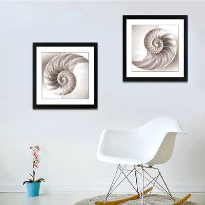 特惠现代简约黑白创意越大贝壳海螺装饰画客厅卧室书房挂画有框画