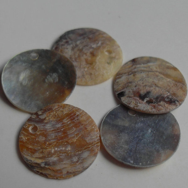 天然马氏贝15mm贝壳圆片圆薄片马氏贝 diy饰品材料配件批发