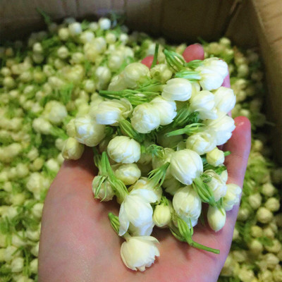 米兰达新鲜小花茉莉纯露 补水保湿美白淡化细纹 2瓶包邮