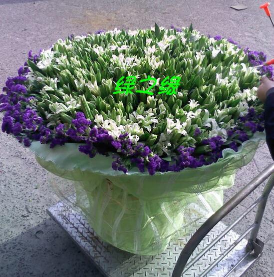 上海鲜花店同城速递求婚鲜花生日祝福探望鲜花999朵白色香水百合