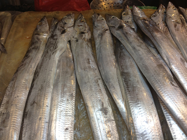 连云港特产海鲜鲜活带鱼冰冻大带鱼冰鲜大刀鱼江浙沪皖包邮