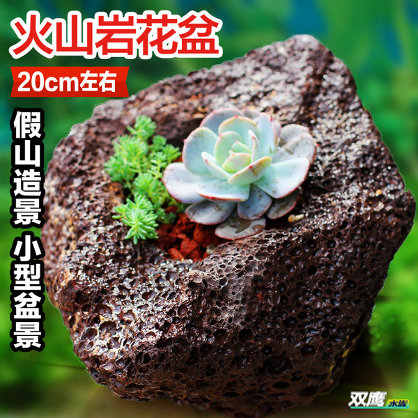 假山造景装饰小火山石花盆 火山岩花盆 多肉植物园艺花盆20cm左右