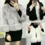 Mùa đông 2016 của phụ nữ Hàn Quốc giả 貂 áo lông cáo lông thú sang trọng dày áo len ngắn ấm áp áo lông nữ