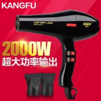 Kangfu 8839 Kangfu Ha Hair Furniture мебель Barberry Lucky Delite Professional 2000W High -сильный вентилятор горячий воздух