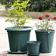 Green Rose Flower Pot Special Master Gallon Thế hệ thứ hai Trang trí máy tính để bàn Lớn cho phép Calibre Rose Vase Thả trung bình - Vase / Bồn hoa & Kệ