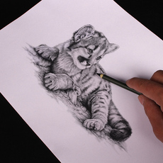 Бумага для рисования 4k/8k100张绘图纸铅画纸图画纸8开美术纸批发八白16k学生用素描纸 Leon Norman