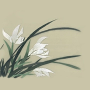 Tên của thêu cổ Tô Châu thêu bộ dụng cụ DIY mới bắt đầu thêu tay vẽ hoa trắng trang trí 30 * 30cm - Bộ dụng cụ thêu