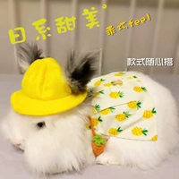 Японский милый кролик, одежда, регулируемая модная хлопковая шапка, домашний питомец