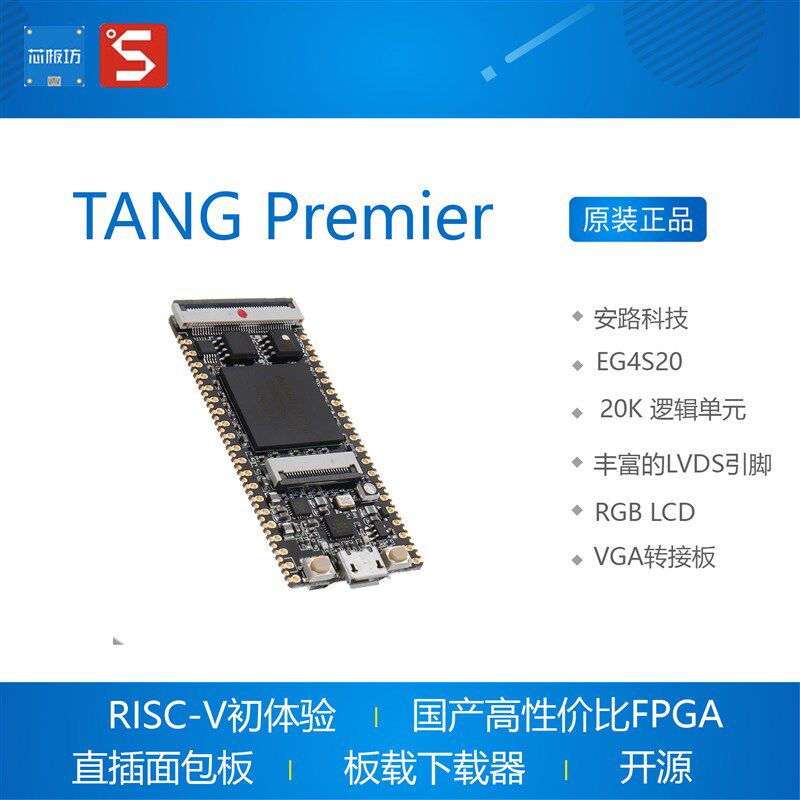  FPGfA EG4S20 RISC V Lichee Tang 