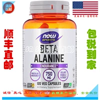 Spot, теперь продукты питания Sports Beta-Alanine B-Alanine 750 мг 120 капсул