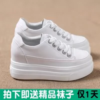 Универсальная высокая белая обувь на платформе для отдыха, тренд сезона, в корейском стиле, 8см