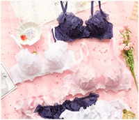 Áo voan nữ thêu hoa ba chiều Nhật Bản đặt trên bộ sưu tập quần lót mỏng thoải mái của phụ nữ - Bộ đồ lót đồ lót hàng hiệu