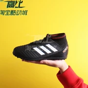 Cool City Adidas Adidas Falcon 18.3TF giày bóng đá trẻ em bị hỏng giày bóng đá CP9039