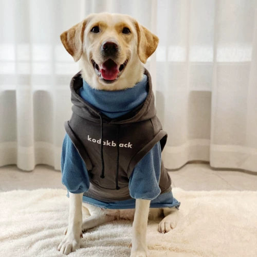 Pet Spring и осенняя одежда прилив бренд -капюшон, чтобы предотвратить размер волос, собака лабрадор золотисто -ретривер Аляска Одежда