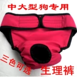 Физиологичные штаны, универсальная камуфляжная красная сумка