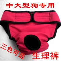 Физиологичные штаны, универсальная камуфляжная красная сумка