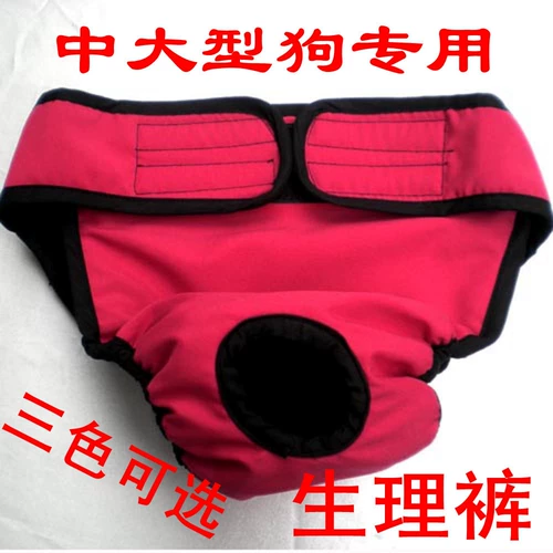 Физиологичные штаны, универсальная камуфляжная красная сумка