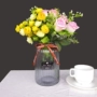 Bình thủy tinh mới đơn giản hoa chai phổ quát mô phỏng bình hoa mô hình máy tính để bàn trang trí nhà trang trí - Vase / Bồn hoa & Kệ giỏ treo ban công