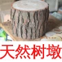 Cây thông gỗ rắn gốc khắc phân gốc cây gốc cây phân gỗ trụ gỗ khối gỗ khắc trang trí cơ sở thông - Các món ăn khao khát gốc Bàn ghế gốc cây giá rẻ